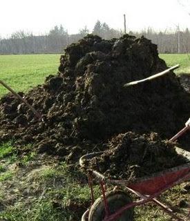 Un'altro giorno schifoso; ma avanti così!