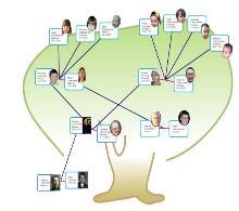 family tree pilot albero genealogico