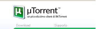 utorrent