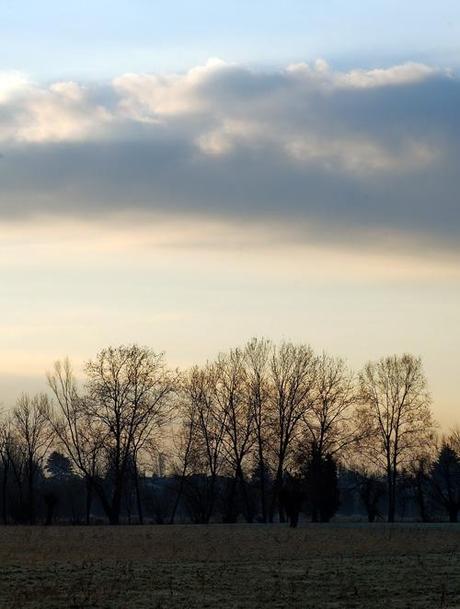 La campagna al mattino / The country in the morning