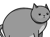 Gatto contro internet vince?