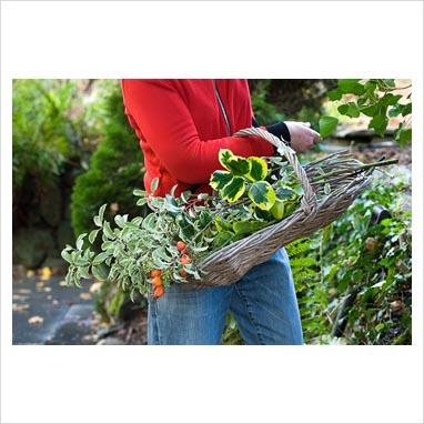 NATALE DECOR: il giardino per le feste.