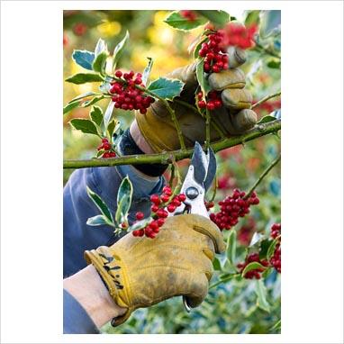 NATALE DECOR: il giardino per le feste.