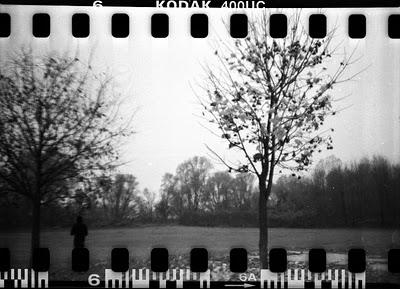 LOMOGRAPHY • autunno, sprocket holes e Kodak 400UC