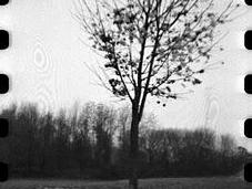 LOMOGRAPHY autunno, sprocket holes Kodak 400UC