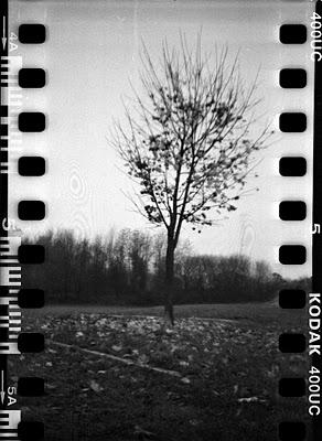 LOMOGRAPHY • autunno, sprocket holes e Kodak 400UC