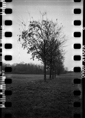 LOMOGRAPHY • autunno, sprocket holes e Kodak 400UC