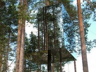 Tree Hotel _ Harads in Svezia