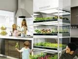 Kitchen nano garden