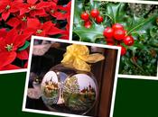 piante “del Natale”