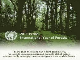 2011: Anno Internazionale delle Foreste