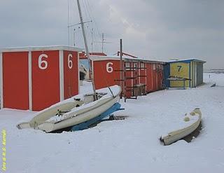 Basta neve...ci arrendiamo!