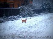 Inseguire samuel sulla neve cosa prezzo!!!!