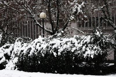 01/12/10 Ancora neve...