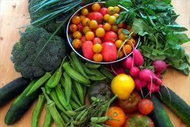 Piccoli ortaggi fuorilegge: chi coltiva un orto può andare in carcere