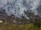 Amazonia: la deforestazione non perdona