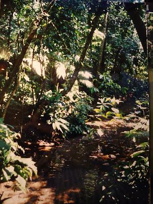 Chiapas, un viaggio semiserio/5: La notte con l'agronomo