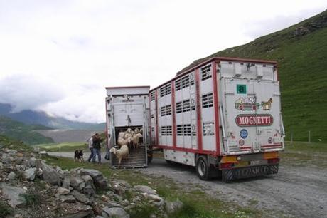 La prima via dei ricordi