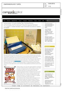 Rassegna stampa