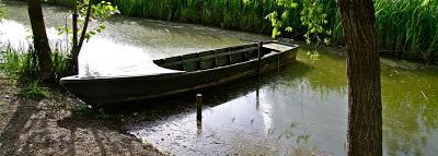 visita alla Riserva Naturale del Padule di Fucecchio