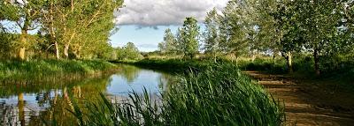 visita alla Riserva Naturale del Padule di Fucecchio