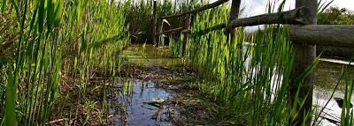 visita alla Riserva Naturale del Padule di Fucecchio