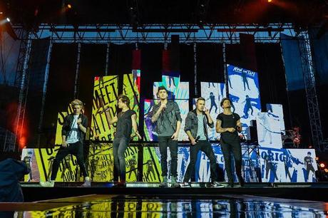 One Direction: le foto del concerto di Verona