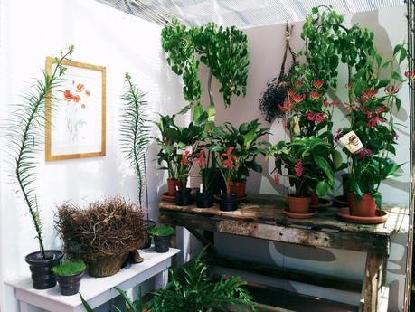 Silvana-Rava-Gardin-mostra-acquerello-botanico-5