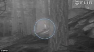 New Mexico, la foto del Bigfoot è reale?