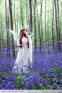 bluebell-fairy-1