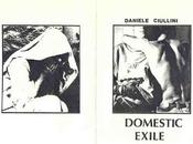 Daniele Ciullini Domestic Exile