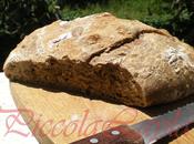 Ciabatta lunga lievitazione farine miste semini