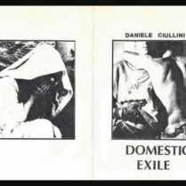 Domestic Exile di Daniele Ciullini