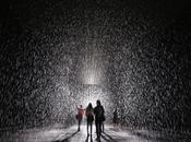 stanza della pioggia MoMa York