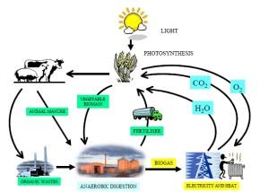 Biogas