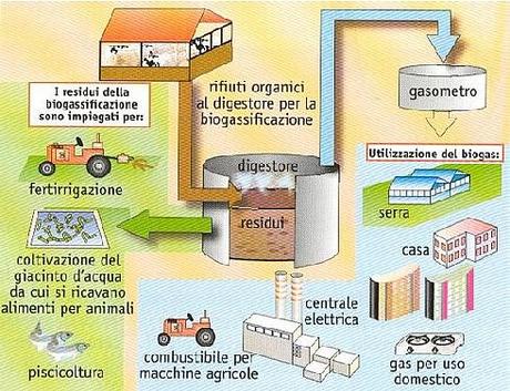 Centrale biogas