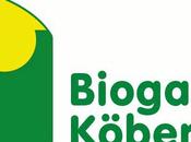 BIOGASKONTOR Köberle