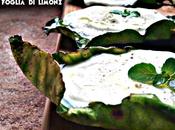 MOZZARELLA ALLA PIASTRA FOGLIA LIMONE (Mozzarella grilled lemon leaves)