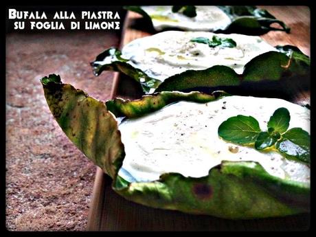 MOZZARELLA ALLA PIASTRA SU FOGLIA DI LIMONE (Mozzarella grilled on lemon leaves)