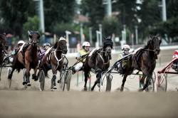 Ippodromo Vinovo 