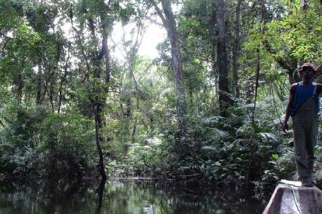 Riserva della Biosfera di Yangambi