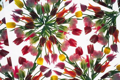 In the Street...Kaleidoscope, Milan & Paris