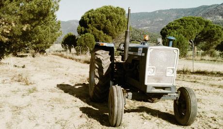 La rivincita della campagna sull'industria