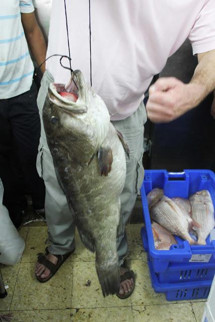 Tel Aviv. Il vino kosher, i mercati e l'arrivo a Gerusalemme.