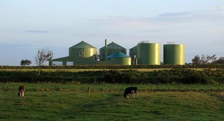 Incentivi Biogas