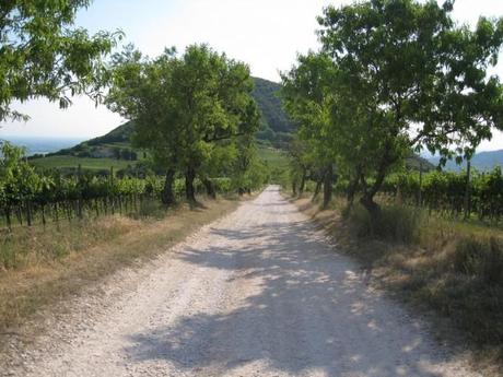 itinerario Colli Euganei