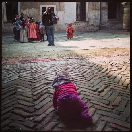 Gattonando verso la cultura di Bergamo