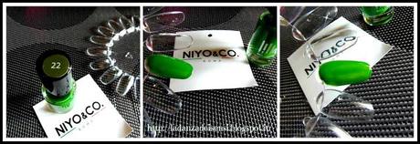 NIYO&CO;.