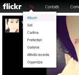 Flickr - Come Usare i Codici Html delle Immagini Invece di Appesantire i Post e il Blog