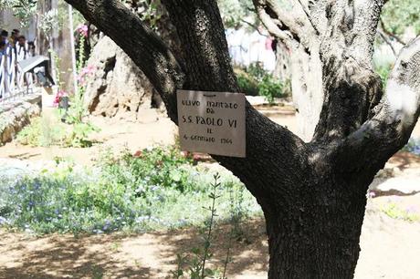 Gerusalemme. La città vecchia, il mercato e quelle sensazioni che non saprai mai scrivere.